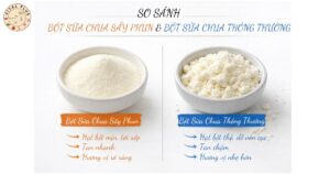 So sánh bột sữa chua sấy phun và bột sữa chua thông thường