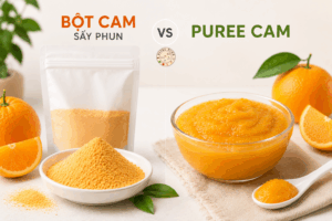 6 Điểm Khác Biệt Giữa Bột Cam Sấy Phun Và Puree Cam Trong F&B