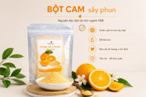 7 Tiêu Chí Chọn Bột Cam Sấy Phun Phù Hợp Cho Ngành F&B